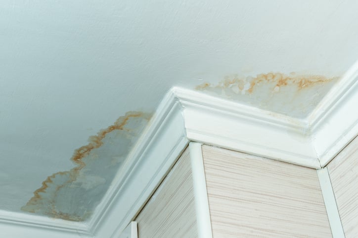 Ceiling water stains from a leaking roof.